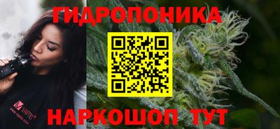 винт Дубна