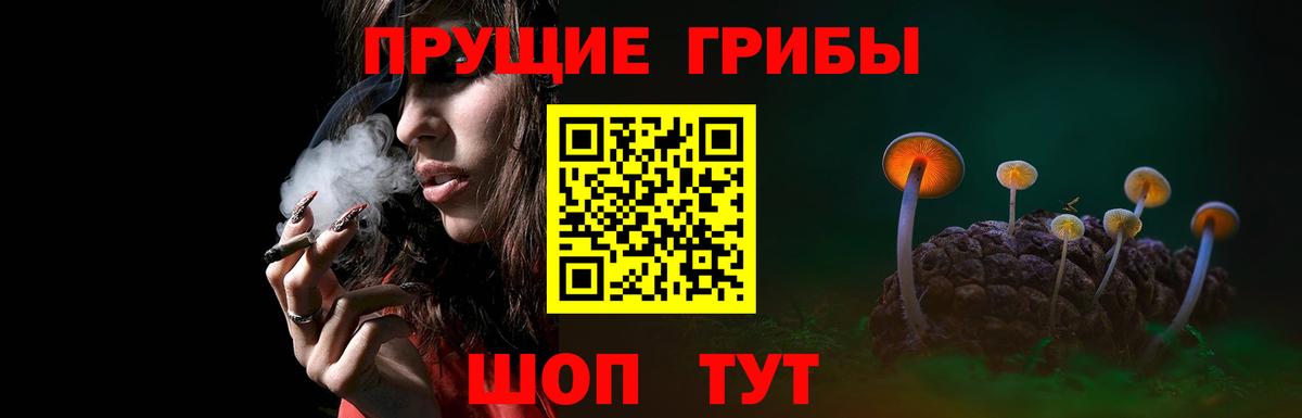 Галлюциногенные грибы Psilocybe  Вход с VPN  Люберцы 